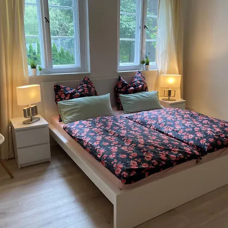 Grosszuegige Souterrainwohnung In Historischer Stadtvilla Im Herzen Zellerfelds Daire