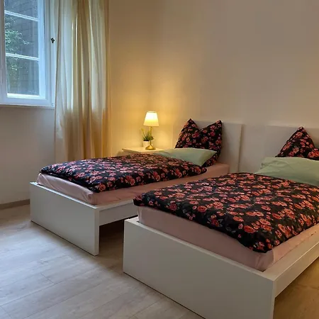 Grosszuegige Souterrainwohnung In Historischer Stadtvilla Im Herzen Zellerfelds Daire *