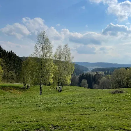 Grosszuegige Souterrainwohnung In Historischer Stadtvilla Im Herzen Zellerfelds * Clausthal-Zellerfeld