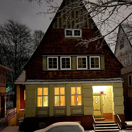 Grosszuegige Souterrainwohnung In Historischer Stadtvilla Im Herzen Zellerfelds Daire Clausthal-Zellerfeld