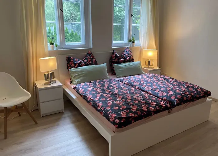 Großzügige Souterrainwohnung In Historischer Stadtvilla Im Herzen Zellerfelds Apartment