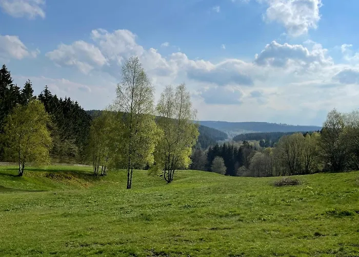 Großzügige Souterrainwohnung In Historischer Stadtvilla Im Herzen Zellerfelds * Clausthal-Zellerfeld