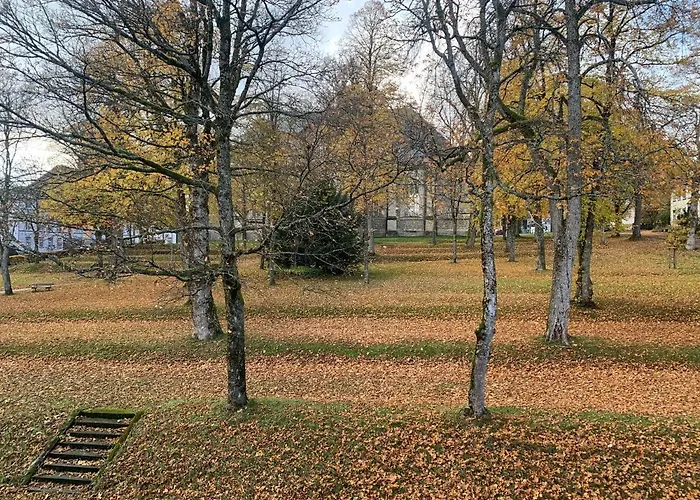Großzügige Souterrainwohnung In Historischer Stadtvilla Im Herzen Zellerfelds Apartment Clausthal-Zellerfeld